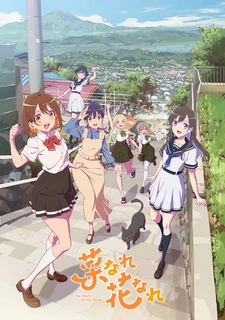 постер к аниме Нарэнарэ: Болеем за вас!